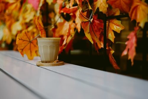 Leaves of Red Syrup